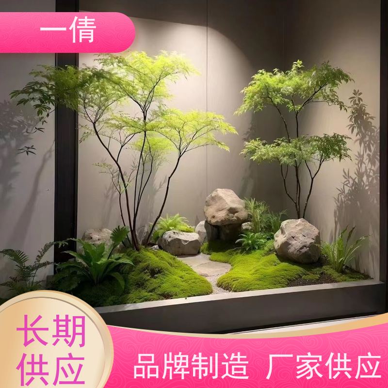 一倩花卉 办公室 龟背 绿植租赁 全城配送 上门养护