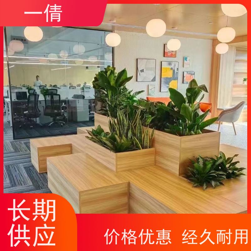 一倩花卉 深圳 石斛 绿植出售 桌面绿植 花木护理