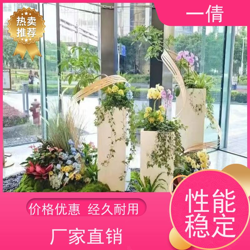 一倩花卉 办公室 翡翠 绿植租赁 全城配送 上门养护