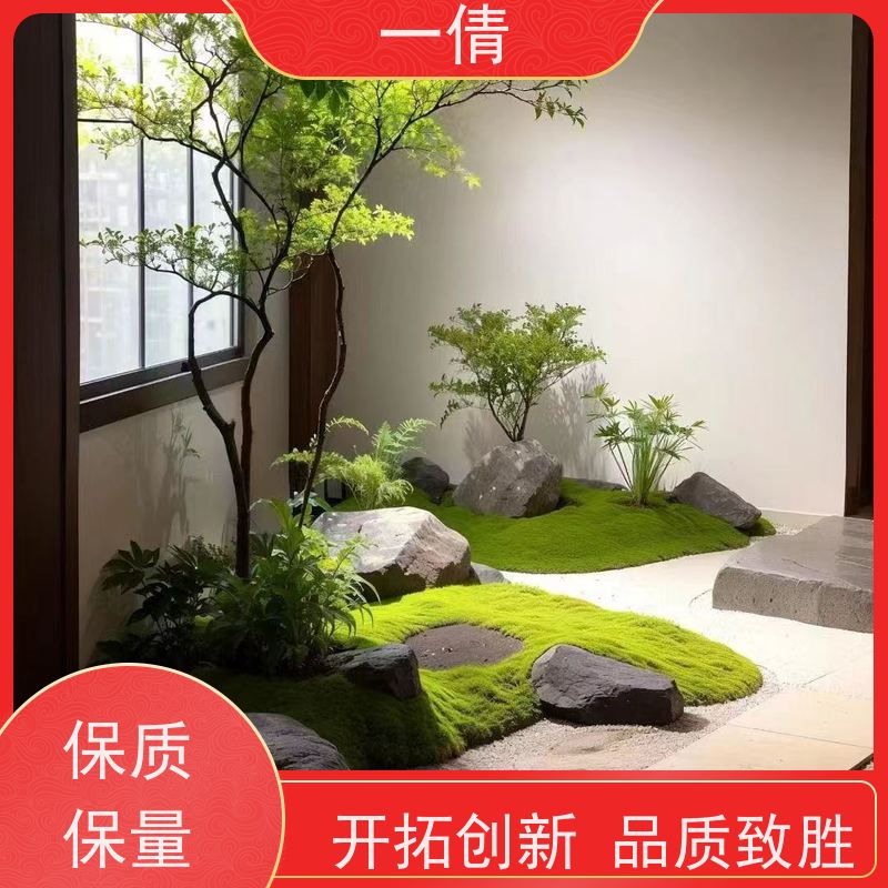 一倩花卉 深圳 佛手 花卉租赁 全城配送 上门养护