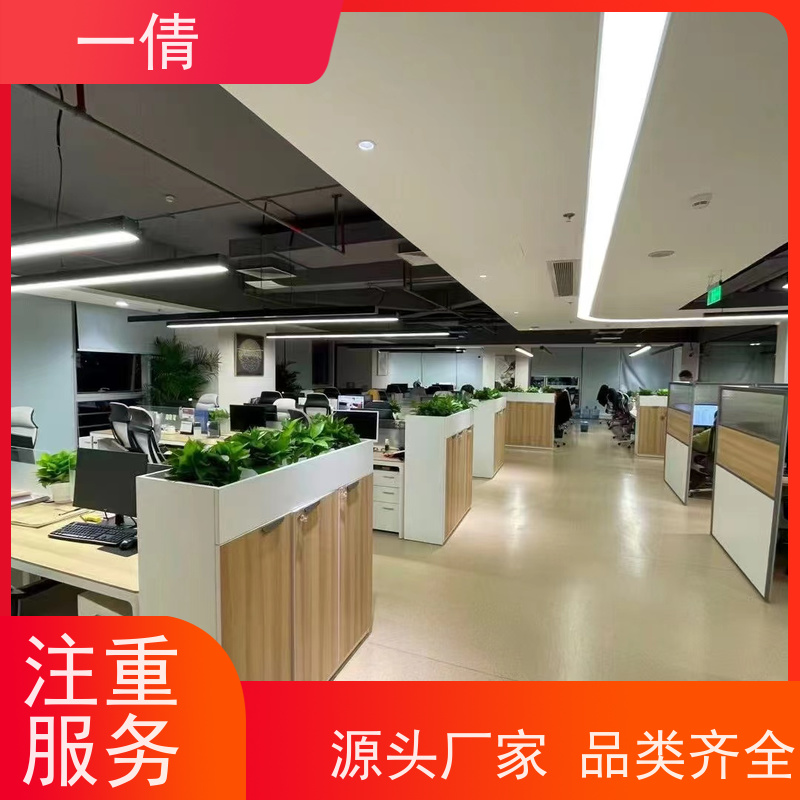 一倩花卉 办公室 银斑葛 花卉租赁 种类繁多 规格齐全
