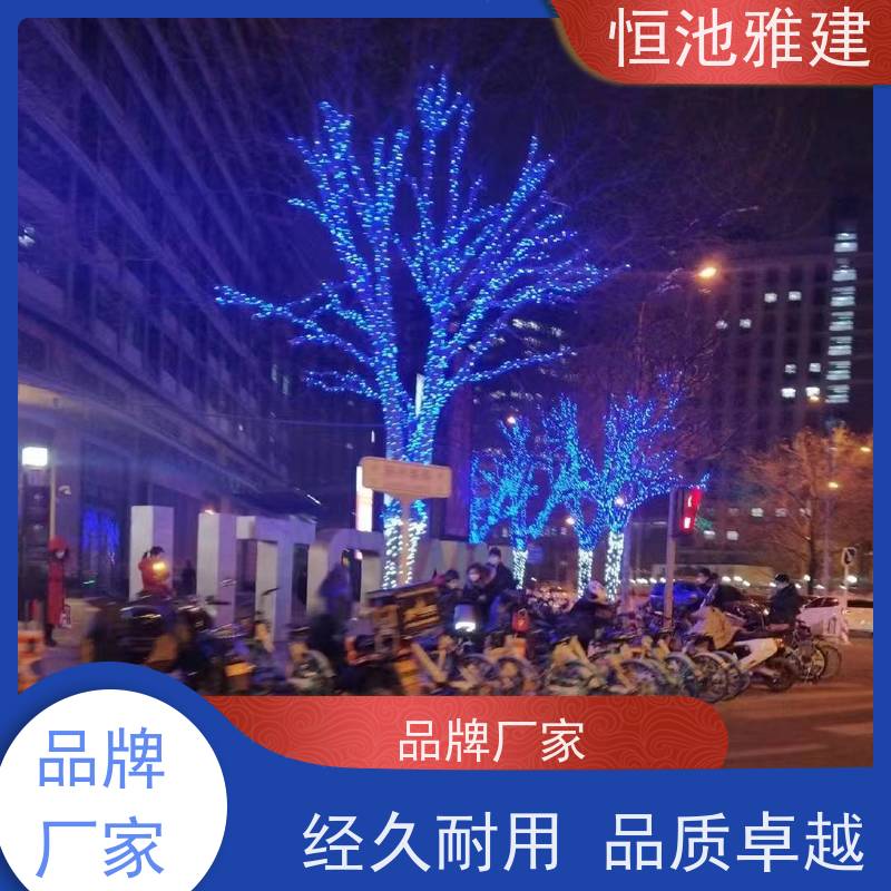 恒池雅建 光明照万家 光纤灯亮化 策划设计制作