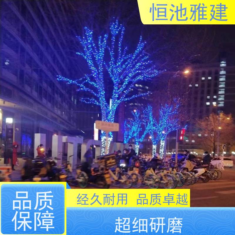 恒池雅建 元旦节装饰用 彩灯串灯亮化 策划设计制作