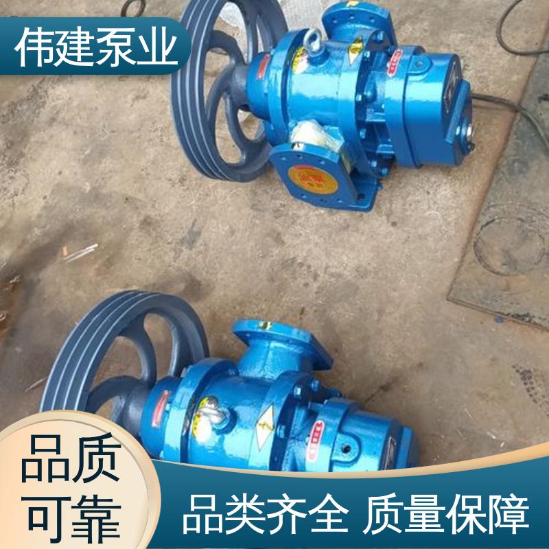 伟建供应 无泄漏效率高 电动抽油式 ZYB硬齿渣油泵 重油输送用