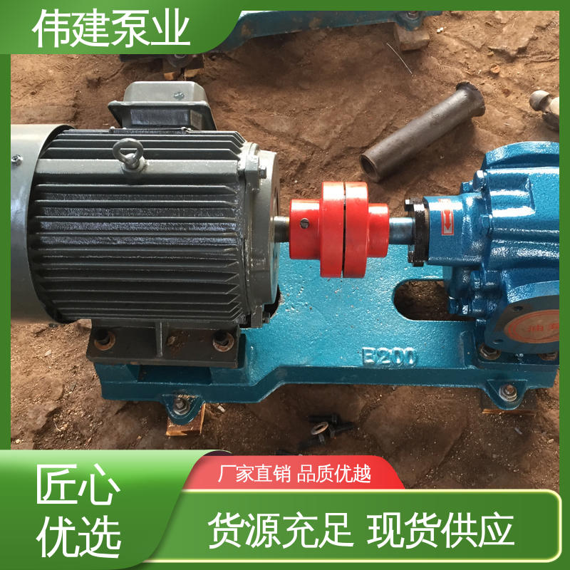 伟建生产 流量大扬程高 硬齿面泵 煤焦油稠油用 无泄漏效率高