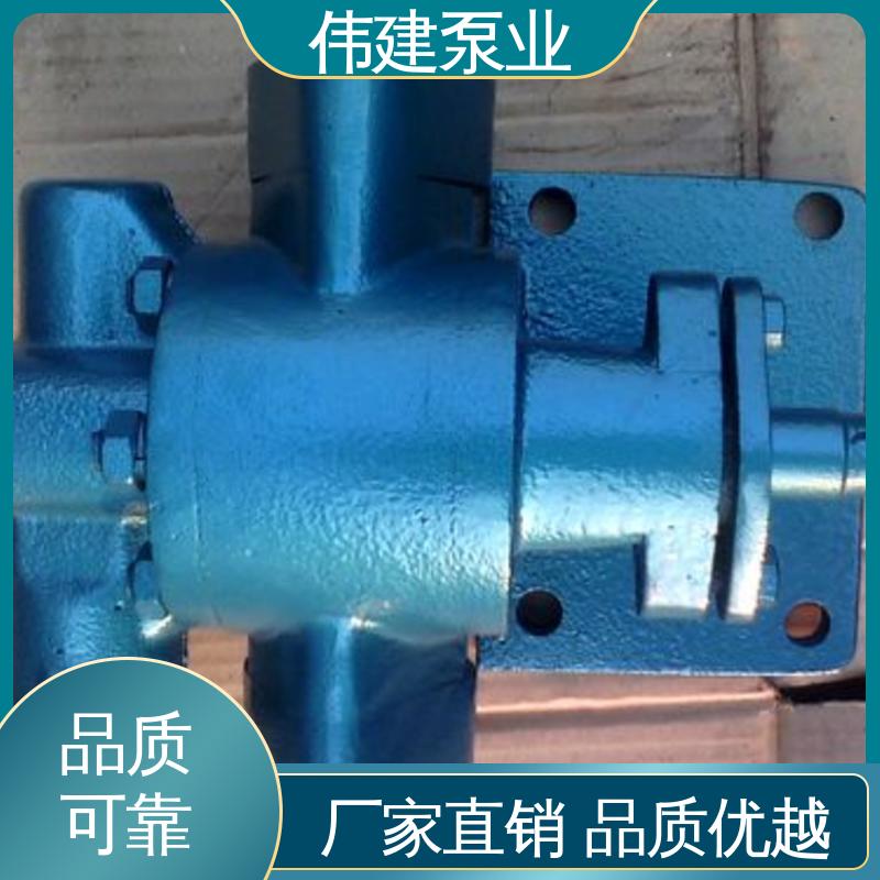 伟建供应 流量大扬程高 豆浆豆渣用 不锈钢齿轮泵 规格齐全