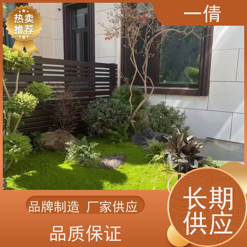一倩花卉 室内 12寸盆四季桔 室内植物出租 桌面绿植 花木护理