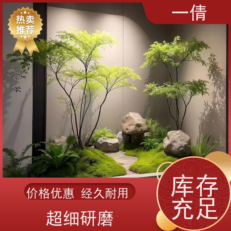 一倩花卉 室内 石斛 绿植租摆 全城配送 上门养护