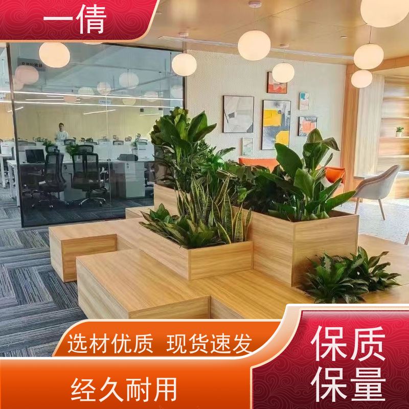 一倩花卉 深圳 蝴蝶兰 室内植物出租 种类繁多 规格齐全