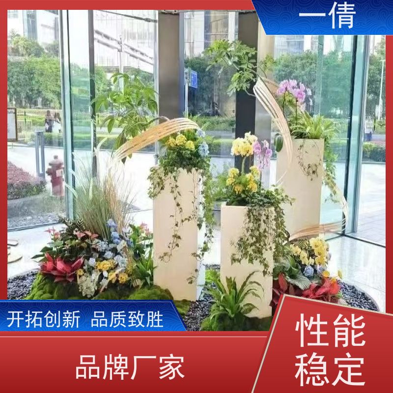 一倩花卉 室内 柠檬树 室内植物出租 种类繁多 规格齐全