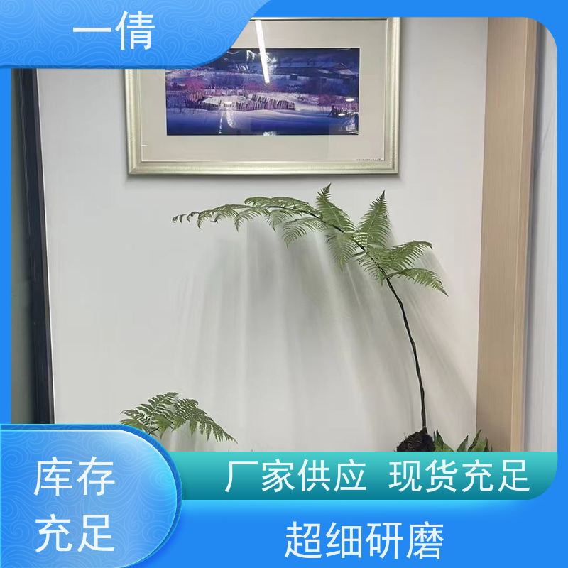 一倩花卉 办公室 福木 绿植租摆 桌面绿植 花木护理