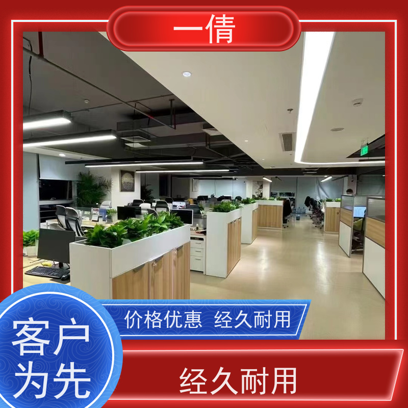 一倩花卉 前台 福禄桐 花卉租赁 桌面绿植 花木护理