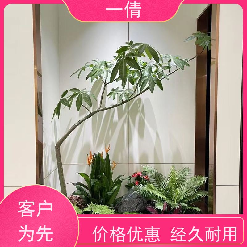 一倩花卉 前台 桌面盆景 绿植出售 种类繁多 规格齐全