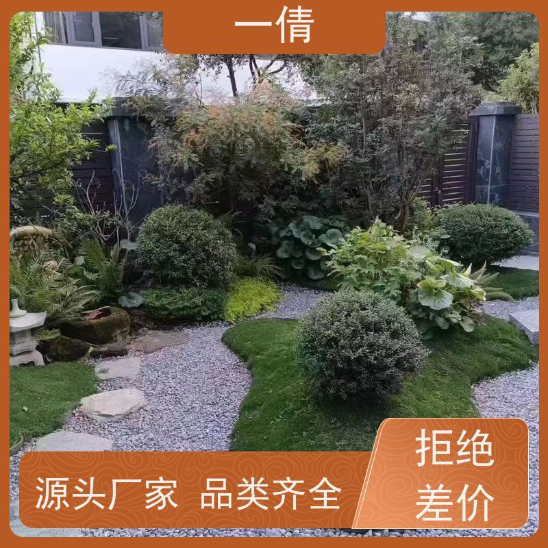 一倩花卉 办公室 砖石翡翠 室内植物出租 桌面绿植 花木护理