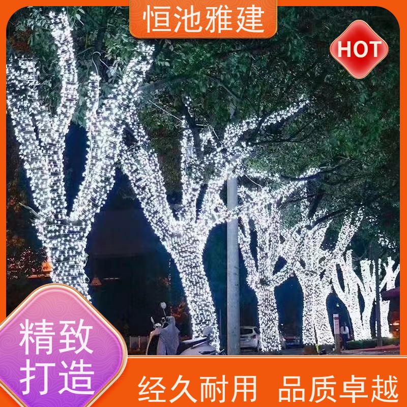 恒池雅建 装饰照明 园区景观亮化 策划设计制作