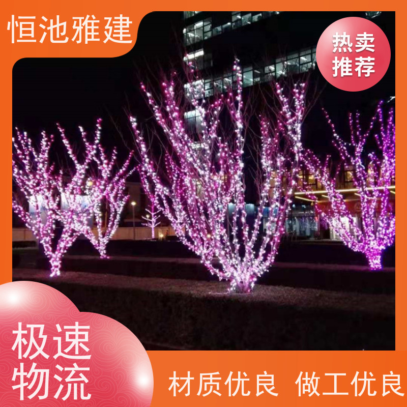 恒池雅建 装饰照明 彩灯串灯亮化 策划设计制作