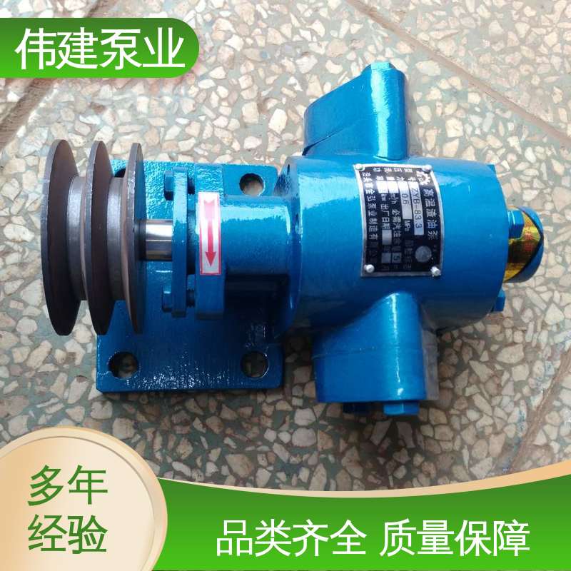 耐磨性能好 无泄漏效率高 电动齿轮泵 伟建供应