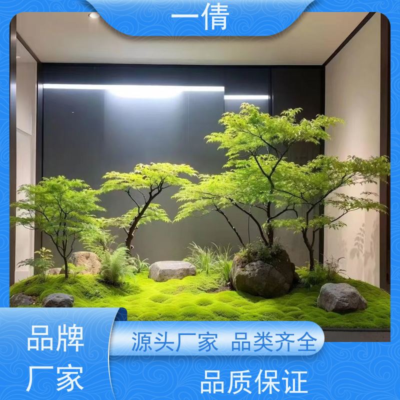 一倩花卉 办公室 桌面盆景 开业花篮租赁 桌面绿植 花木护理