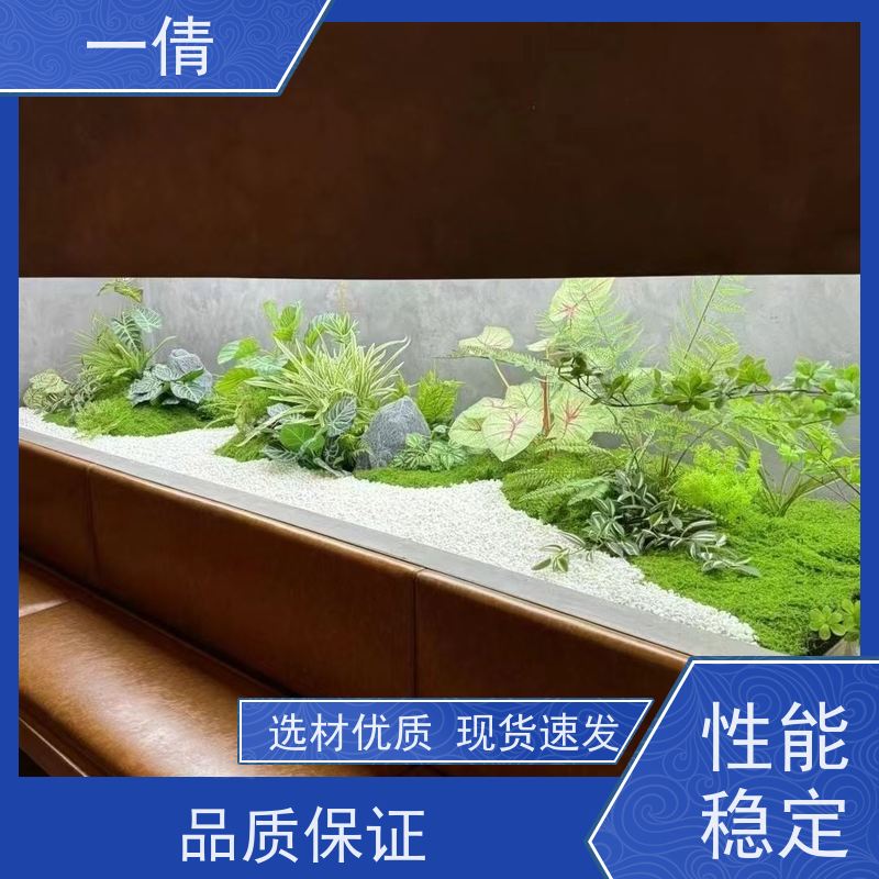 一倩花卉 深圳 年桔盆景 绿植租摆 全城配送 上门养护