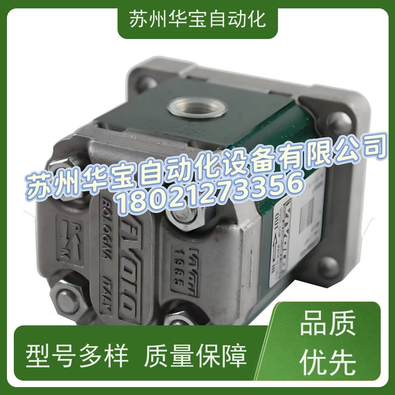 维沃尔VIVOLO齿轮泵XV-1P XV-2P X1P2302FIIA X2P4702EBBA液压泵