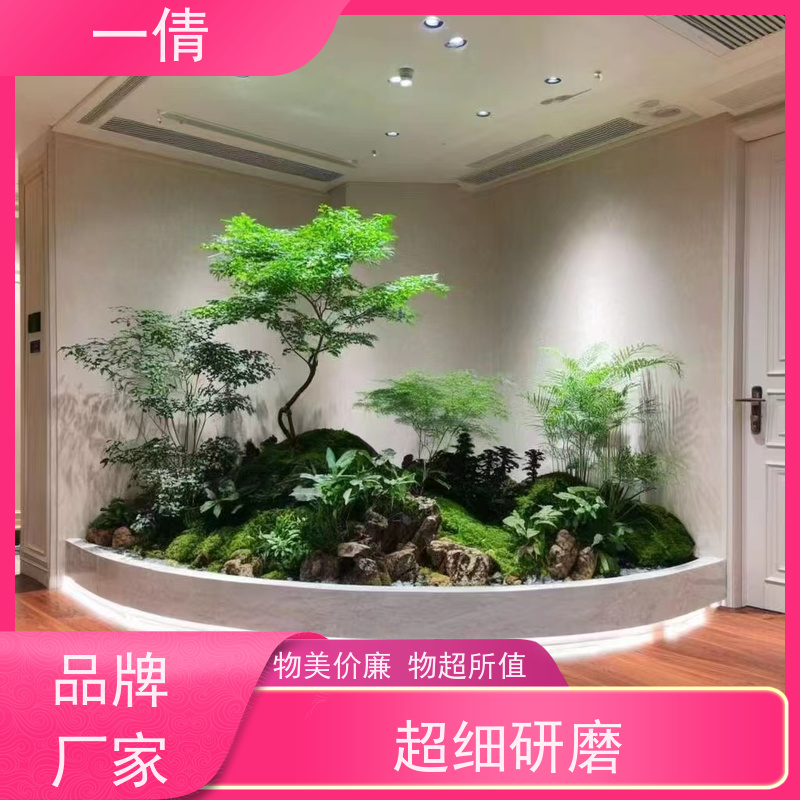 一倩花卉 深圳 组合花镜 室内植物出租 净化空气
