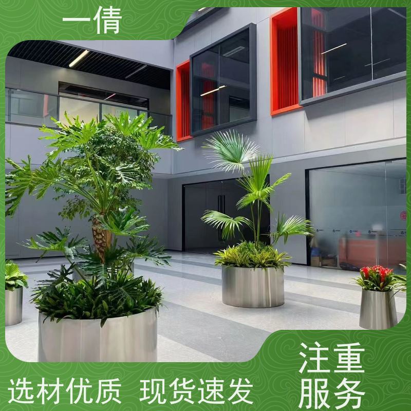 一倩花卉 深圳 组合花镜 室内植物出租 桌面绿植 花木护理