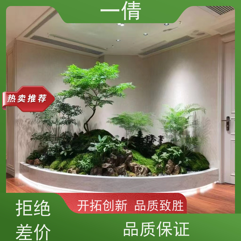 一倩花卉 深圳 七彩铁 花卉租赁 全城配送 上门养护