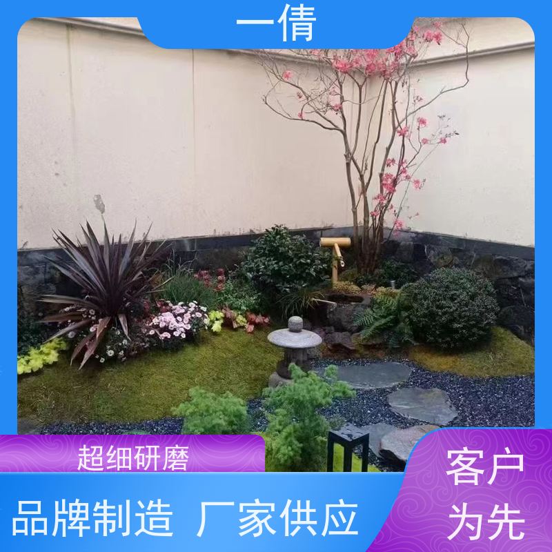 一倩花卉 办公室 7寸盆四季桔 开业花篮租赁 全城配送 上门养护