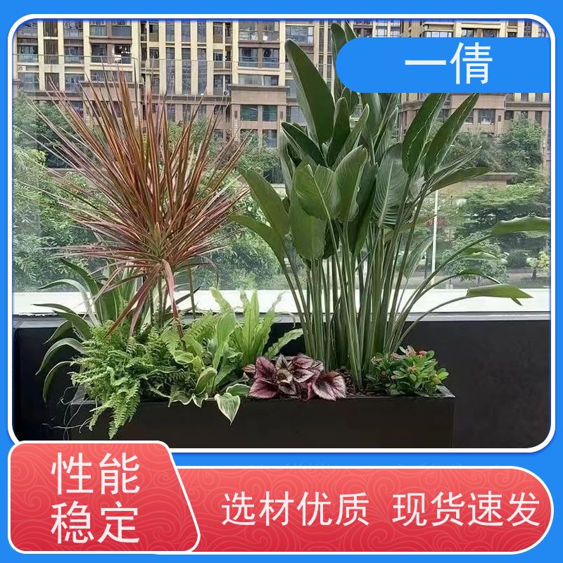 一倩花卉 办公室 保罗 开业花篮租赁 种类繁多 规格齐全