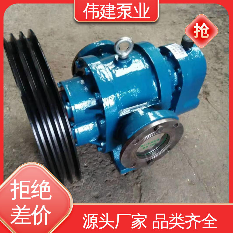 规格齐全 无泄漏效率高 涂料油漆输送用 LCX罗茨泵 伟建生产