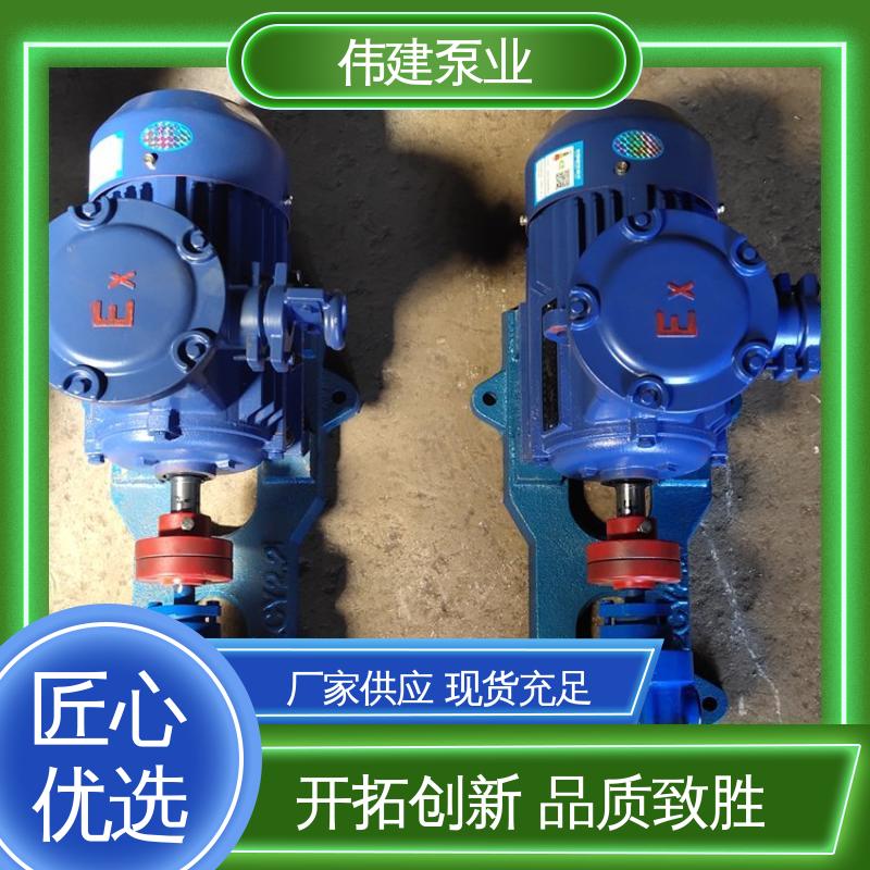 伟建生产 不锈钢齿轮泵 流量大扬程高 无泄漏效率高