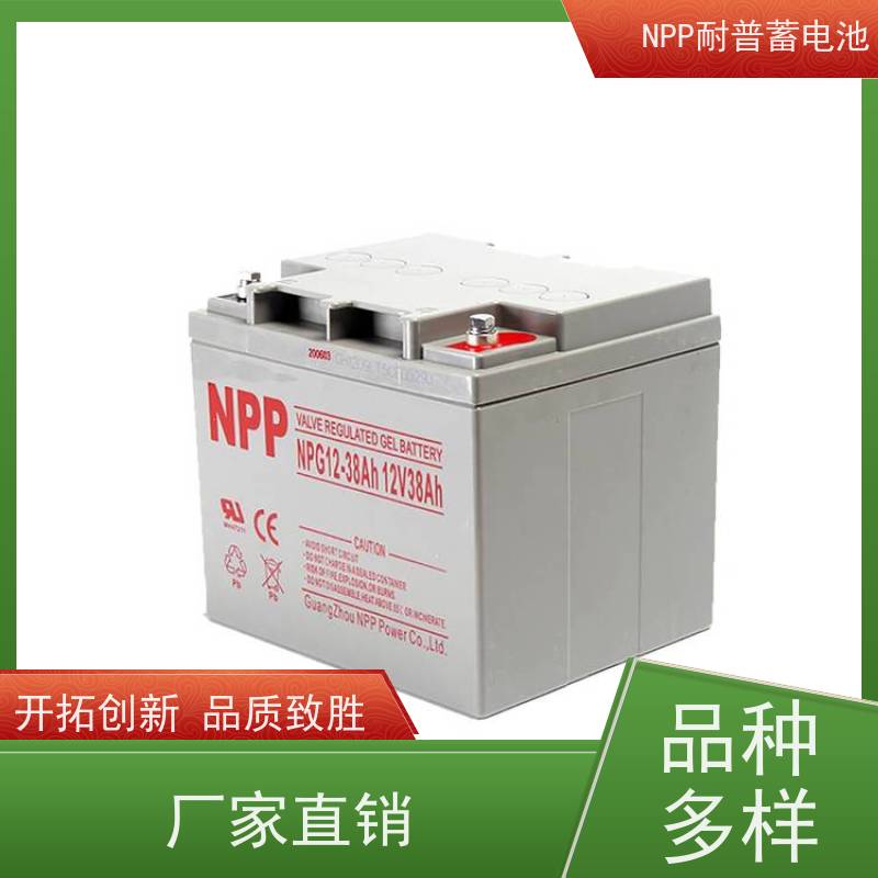 机房UPS电池 NPG12-65 适用机房储能蓄电 华南区代理 