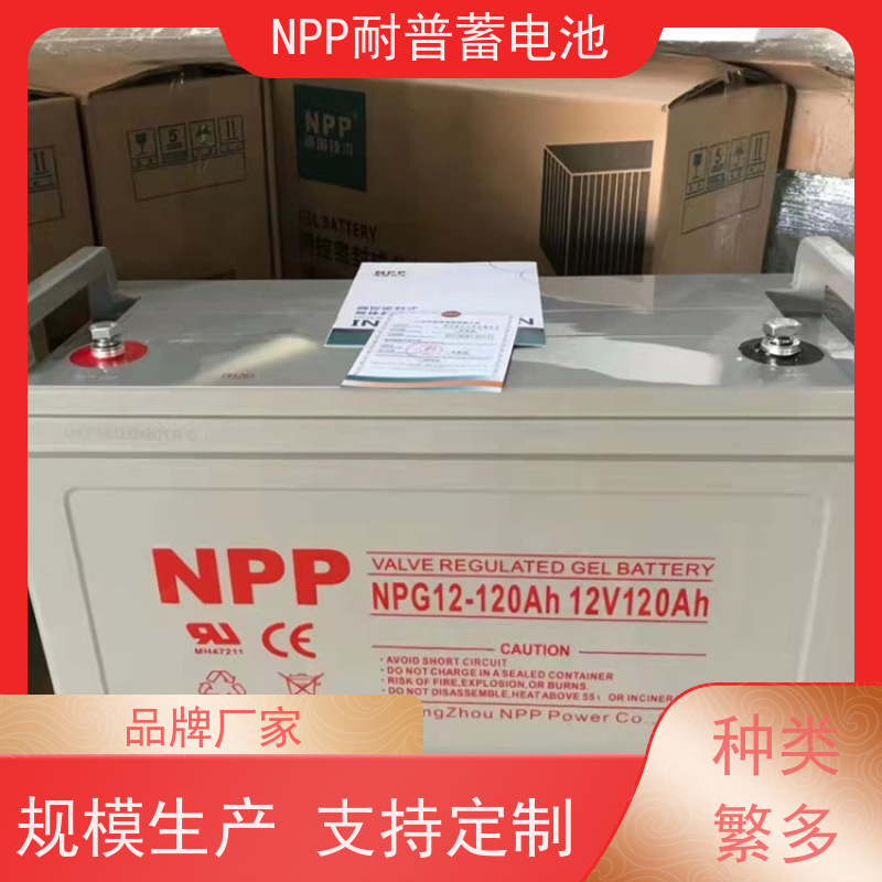 npp蓄电池 NPG12-100 适用EPS ups电源 维修维保服务