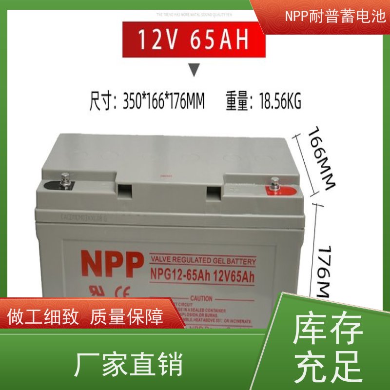 npp蓄电池 NPG12-100 适用EPS ups电源 维修维保服务