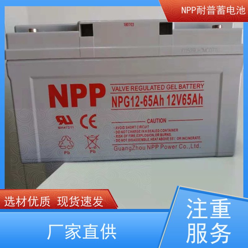 npp蓄电池 NPG12-65 适用EPS ups电源 稳压应急备用