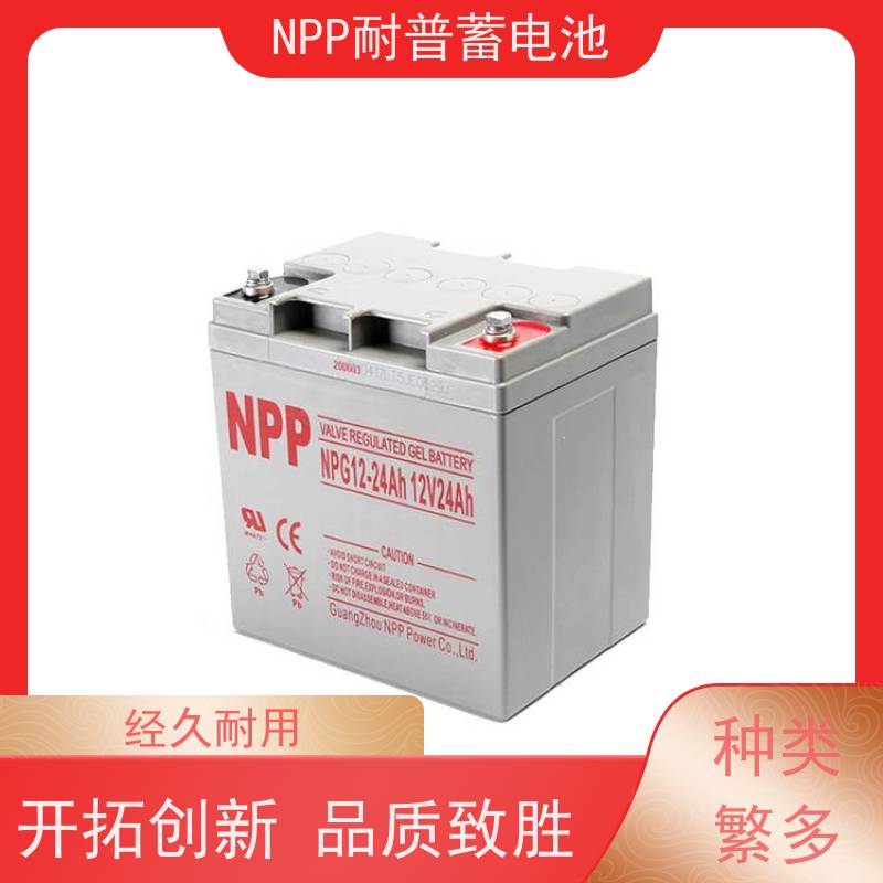 npp蓄电池 NPG12-100 适用EPS ups电源 维修维保服务