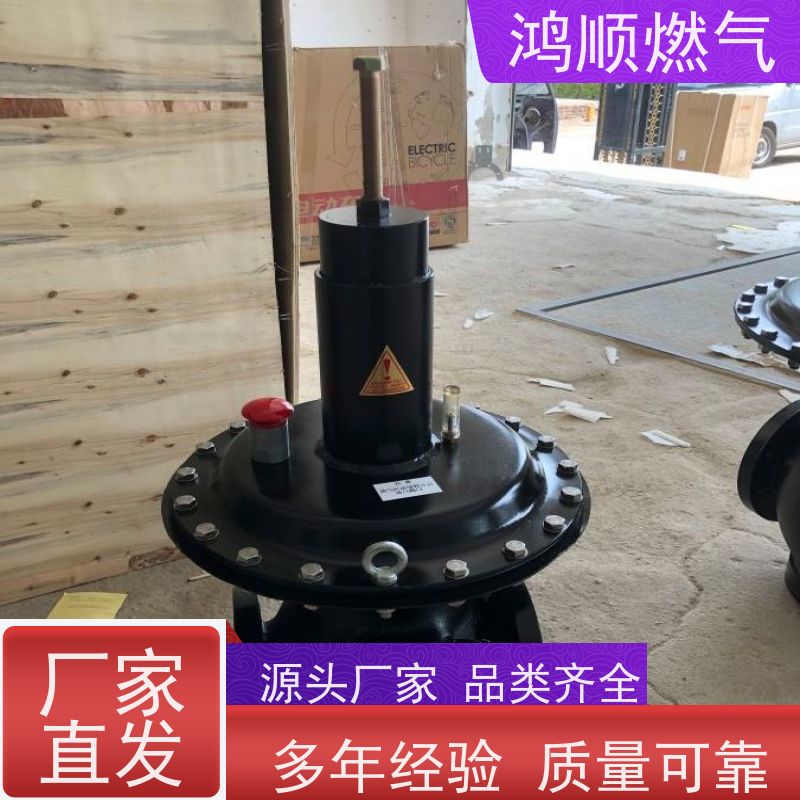 鸿顺 厂家供应 DN100燃气调压器 结构合理坚固耐用 规格齐全