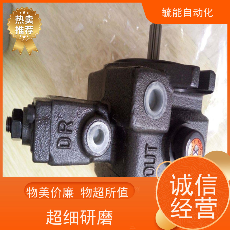 安颂 台湾叶片泵PVF-40/30-70/55/35-10 10S PVF-30-35-10 ANSON