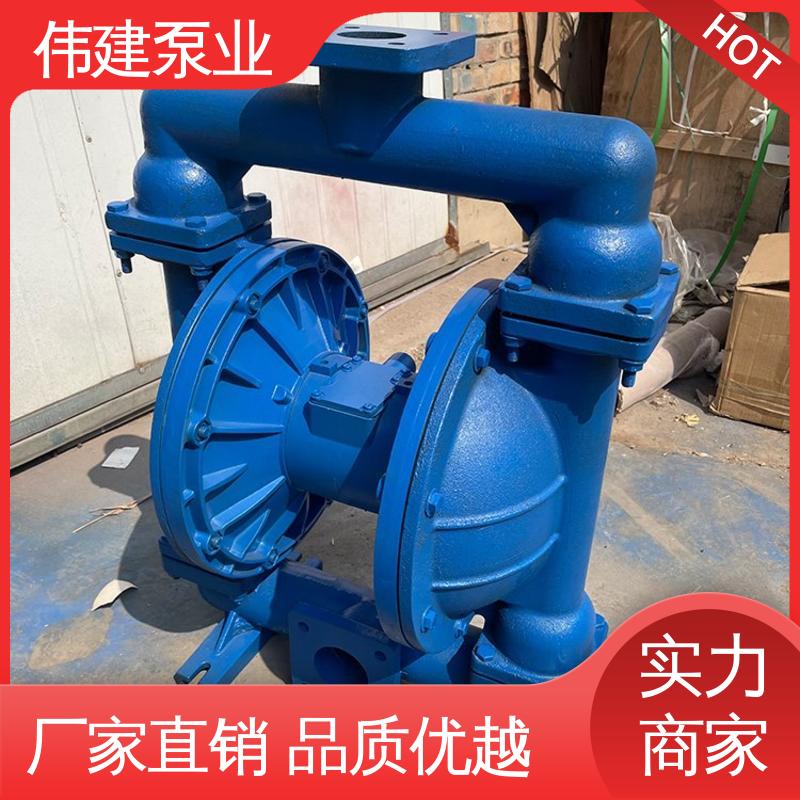 伟建生产 无泄漏效率高 橡胶树脂输送用 支持定制 高粘度泵 