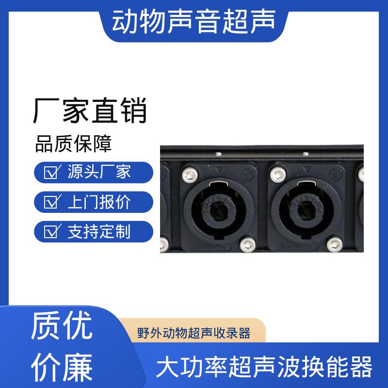 德国Avisoft 大功率超声波发生器 电源电流400 mA 厂家制造供应