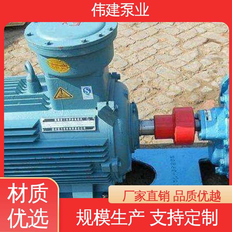 伟建生产 容积式转轮泵 涂料油漆用 支持定制 316L材质