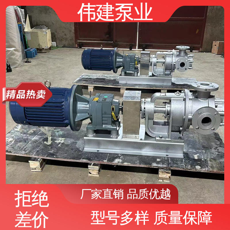伟建生产 橡胶树脂输送用 高粘度泵 规格齐全 大流量