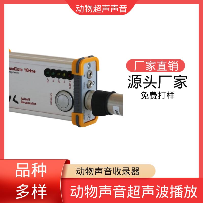 德国Avisoft 鸟类声音收集器 80 x 42 x 130 实力厂家 品质优越
