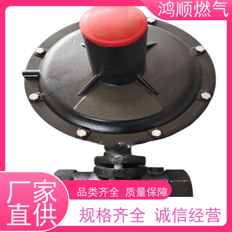 鸿顺 厂家供应 DN100燃气调压器 性能稳定易安装 规格齐全
