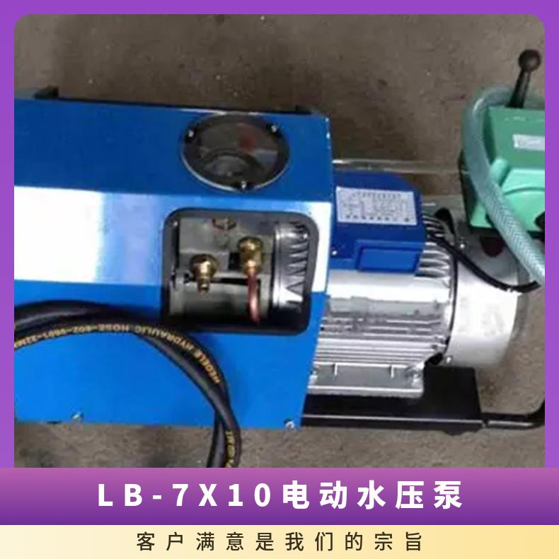 LB-7X10电动水压泵无脉冲输出 自动保压可根据客户的需要调试