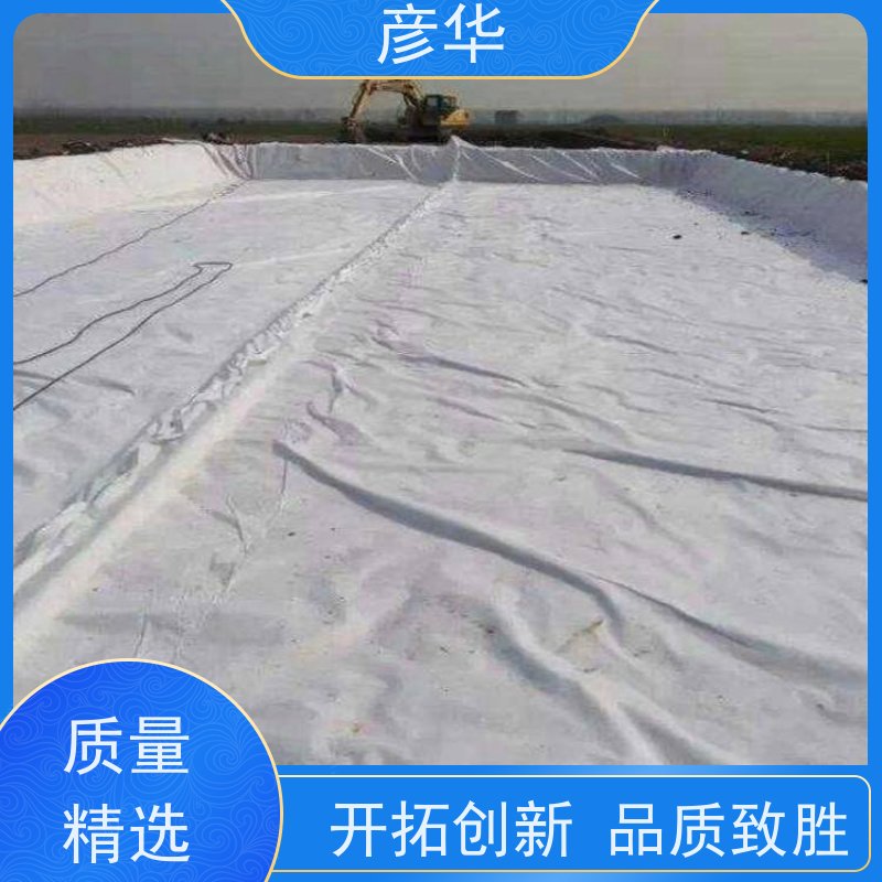 彦华 两布一膜800g HDPE防水膜 鱼塘养殖防渗 规格齐全