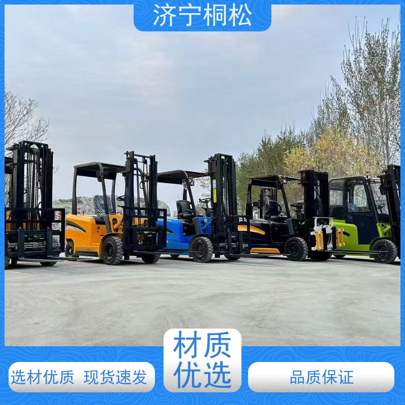 桐松机械 可升高3米 2.5T环保电动叉车 加强密封双油缸 配件种类繁多