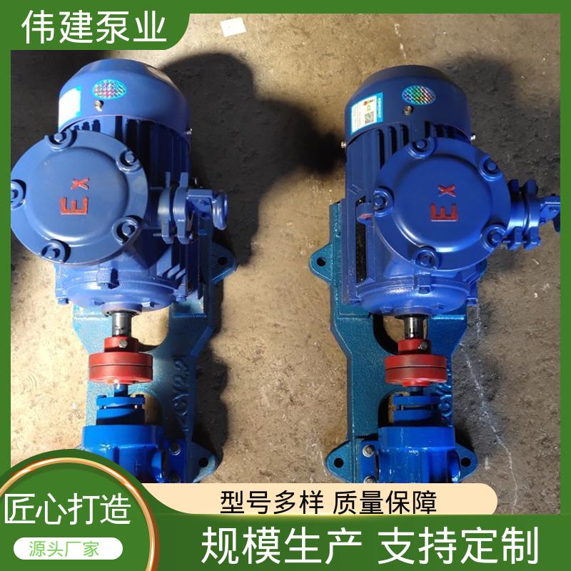 伟建供应 机油柴油液运输用 规格齐全 不锈钢齿轮泵
