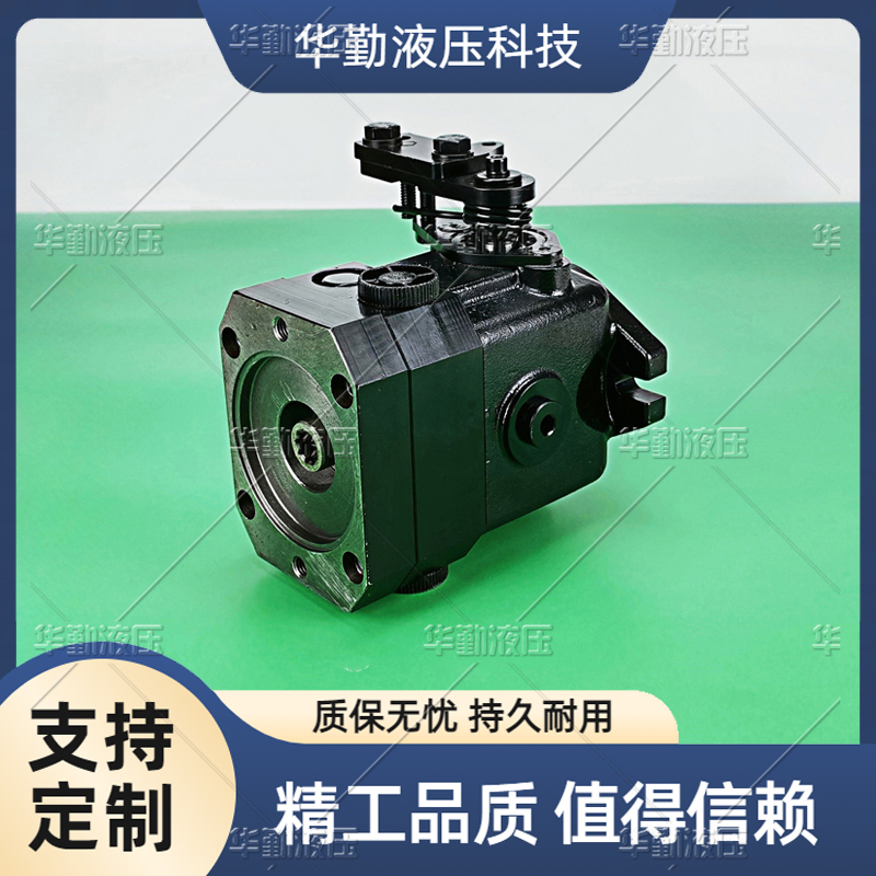 华勤液压 支持定制 柴油扫路机行走泵 低噪音，高效率，易安装
