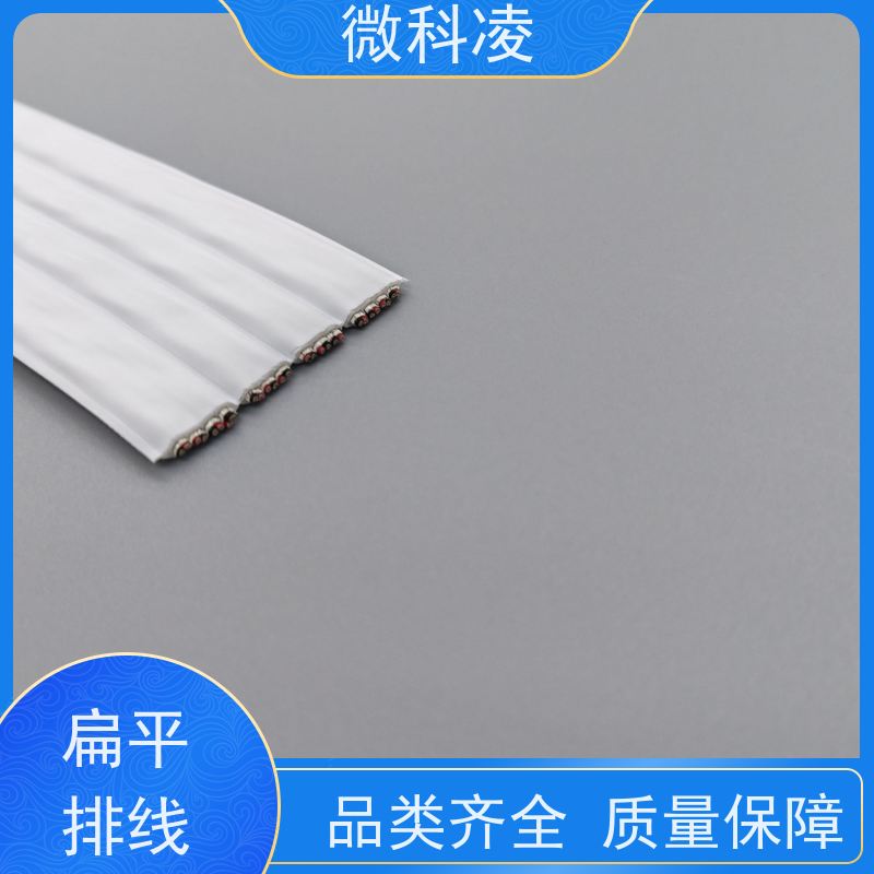 微科凌 运动扁平 排线 class 1 无尘标准 多年生产经验
